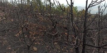 Φωτογραφίες από την περιοχή που κάηκε στον Μπούρινο