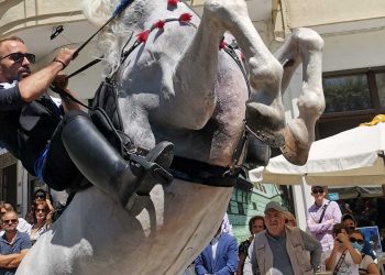 Δεκαπενταύγουστος: Ξεχώρισε το έθιμο των καβαλάρηδων στη Σιάτιστα