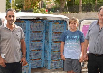 Επιμελητήριο Φλώρινας: Ένας τόνος ροδάκινα παραδόθηκε στο γηροκομείο Φλώρινας