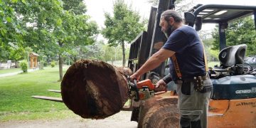 Δήμος Γρεβενών: Τοποθετήθηκαν οι τεράστιοι κορμοί για το φεστιβάλ Μανιταρογλυπτικής