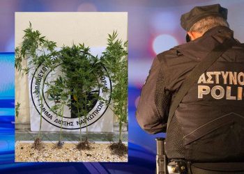 5 δενδρύλλια κάνναβη σε γλάστρες καλλιεργούσε στο σπίτι του κάτοικος της Καστοριάς ο οποίος και συνελήφθη