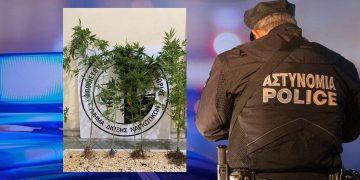 5 δενδρύλλια κάνναβη σε γλάστρες καλλιεργούσε στο σπίτι του κάτοικος της Καστοριάς ο οποίος και συνελήφθη