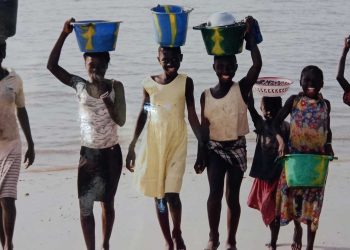  Έκθεση φωτογραφίας στη Βλάστη   ΄΄ΑΦΡΙΚΗΣ ΟΣΜΩΣΗ΄΄  -Της Ελένης Γκίνου  -ΑΦΡΙΚΗΣ ΟΣΜΩΣΗ