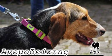 Τα σκυλιά ενημερώθηκαν; – Από τη νέα στήλη ΑΝΕΜΟΔΕΙΚΤΗΣ (20-09-22)