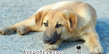 Θα γίνουν αυστηρές… συστάσεις; – Από τη νέα στήλη ΑΝΕΜΟΔΕΙΚΤΗΣ (09/09)