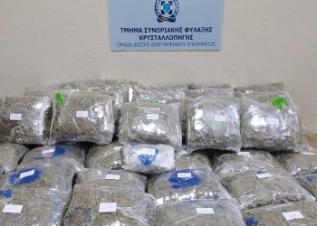 Μπλόκο σε μεγάλη ποσότητα ακατέργαστης κάνναβης σε περιοχή της Κοζάνης