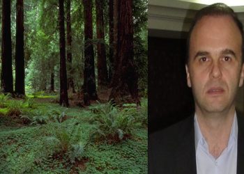 Οι νέοι Διευθυντές των Δ/νσεων Δασών και Δασαρχείων των Π.Ε. της Δυτικής Μακεδονίας -Διευθυντής Δασών ΠΕ Κοζάνης ο Δημήτρης Τσίμπλινας