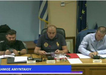 Μπιτάκης: «Τεράστιο το ενεργειακό κόστος καυσίμου για τον δήμο Αμυνταίου- Να χρηματοδοτηθεί η λειτουργία της Τ/Θ»-Συνάντηση στο ΥΠΕΝ με το Δίκτυο Ενεργειακών Δήμων