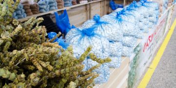 Άργος Ορεστικό Καστοριάς: Μια πρώτη μικρή γεύση από την μεγάλη εμποροπανήγυρη (ΦΩΤΟ)