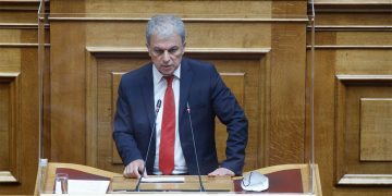 Γ. Αμανατίδης: «Περισσότεροι πόροι στο Ν. Κοζάνης για κάλυψη των αυξημένων αναγκών σε ξύλα»