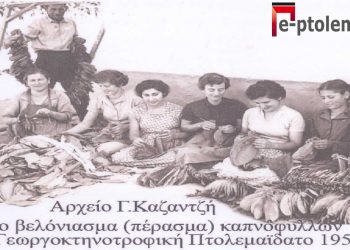 Ο καπνός το Βασικό στήριγμα του αγρότη, στην γεωργοκτηνοτροφική, Πτολεμαϊδα-Εορδαία, του παρελθόντος… – Από την στήλη του Γ. Καζαντζή στον ΠΑΛΜΟ 07/09/22
