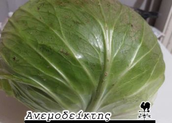 Ιδού η απόδειξη! – Από τη στήλη ΑΝΕΜΟΔΕΙΚΤΗΣ (10/9)