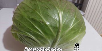 Ιδού η απόδειξη! – Από τη στήλη ΑΝΕΜΟΔΕΙΚΤΗΣ (10/9)