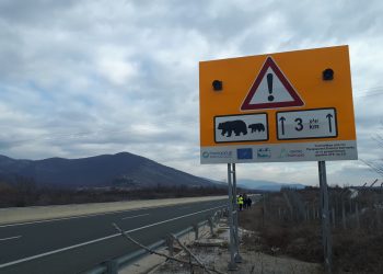 Συστήματα αποτροπής σύγκρουσης οχημάτων- ζώων στο οδικό δίκτυο της Δυτικής Μακεδονίας