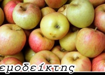 Μήπως, τελικά, πάρουν πολλές ενισχύσεις; – Από τη στήλη ΑΝΕΜΟΔΕΙΚΤΗΣ (01/10)