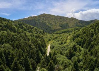 Ορεινοί αγώνες στο Μπούρινο: πρόταση για ένα διαφορετικό Κυριακάτικο πρωινό