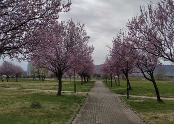 “Έρχεται” το νέο δημοτικό αναψυκτήριο στο Πάρκο Εκτάκτων Αναγκών της Πτολεμαΐδας!