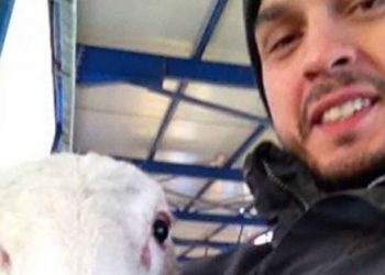 Ρroud Farmers: Βιολογικό λίπασμα από πρόβειο μαλλί στον Άγιο Δημήτριο Κοζάνης