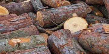 Εορδαία: Με μεγάλες καθυστερήσεις αναμένεται να παραδοθεί η ξυλεία στους κατοίκους των ορεινών χωριών