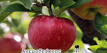 Η ισχύς εν τη ενώσει! – Από τη στήλη ΑΝΕΜΟΔΕΙΚΤΗΣ (30/9)