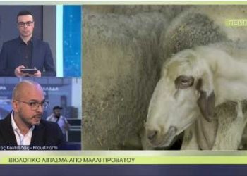 Βιολογικό λίπασμα από μαλλί προβάτου παράγουν οι Proud Farmer από τον Άγιο Δημήτριο Κοζάνης (βίντεο)