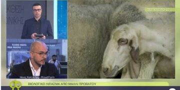 Βιολογικό λίπασμα από μαλλί προβάτου παράγουν οι Proud Farmer από τον Άγιο Δημήτριο Κοζάνης (βίντεο)
