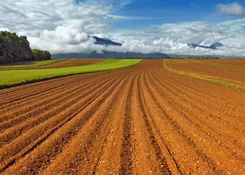 Ο Δήμος Βοΐου θα δημοπρατήσει αγροτεμάχια ιδιοκτησίας του