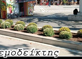 Διαφωνίες για το… χρώμα των χρυσανθέμων – Από τη στήλη ΑΝΕΜΟΔΕΙΚΤΗΣ (07/10)