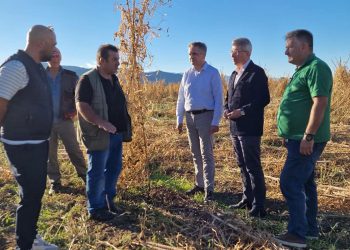 Γιώργος Κασαπίδης για την σφοδρή χαλαζόπτωση: Ολοσχερείς ζημιές σε καλλιέργειες – Να γίνουν συνολικές εκτιμήσεις