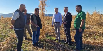 Γιώργος Κασαπίδης για την σφοδρή χαλαζόπτωση: Ολοσχερείς ζημιές σε καλλιέργειες – Να γίνουν συνολικές εκτιμήσεις