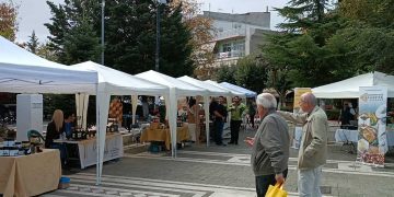 Ένα “ΓΛΥΚΟ ” Σαββατοκύριακο προσφέρει στην Πτολεμαΐδα ο Μελισσοκομικός Σύλλογος Π.Ε. Κοζάνης! (φώτο-βίντεο- ρεπορτάζ της Κούλας Πουλασιχίδου)