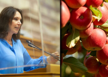 Καλλιόπη Βέττα: «Η απάντηση του Υπουργού Αγροτικής Ανάπτυξης στους μηλοπαραγωγούς της Εορδαίας επιβεβαιώνει την ανυπαρξία λύσεων από την πλευρά της κυβέρνησης»