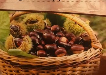 10η γιορτή κάστανου στο Εμπόριο Εορδαίας