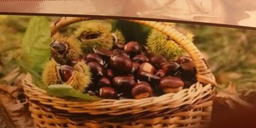 10η γιορτή κάστανου στο Εμπόριο Εορδαίας