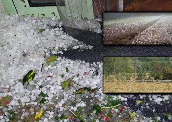 ΚΚΕ: Ερώτηση προς τον Υπουργό Αγροτικής Ανάπτυξης και Τροφίμων για τις καλλιέργειες φασολιών από χαλαζόπτωση