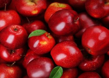 Κάθοδος εκπροσώπων μηλοκαλλιεργητών από Εορδαία στο ΥΠΑΑΤ  – Σήμερα η συνάντηση με τον Υπουργό για το πρόβλημα διάθεσης μήλων