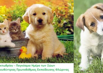 Το μήνυμα για την Παγκόσμια Ημέρα των Ζώων της Διευθύντριας Πρωτοβάθμιας Εκπαίδευσης Φλώρινας Όλγας Μούσιου Μυλωνά: