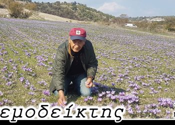 Ο Ρούλης δείχνει το δρόμο! – Από τη στήλη ΑΝΕΜΟΔΕΙΚΤΗΣ (22/10)