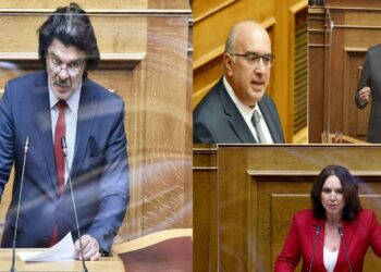 Τι απάντησαν οι βουλευτές Μ. Παπαδόπουλος, Στ. Κωνσταντινίδης, Κ. Βέττα, όταν κλήθηκαν να σχολιάσουν την υπόθεση Α. Πάτση-VIDEO