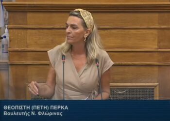 Π. Πέρκα για την Ευρωπαϊκή Οδηγία της αγοράς ηλεκτρικής ενέργειας: «Νομοθετούν εκ των υστέρων ό,τι έχουν κατάφωρα παραβιάσει εκ των προτέρων»