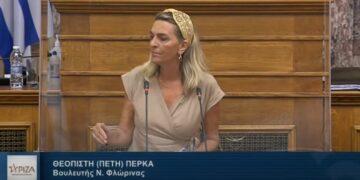 Π. Πέρκα για την Ευρωπαϊκή Οδηγία της αγοράς ηλεκτρικής ενέργειας: «Νομοθετούν εκ των υστέρων ό,τι έχουν κατάφωρα παραβιάσει εκ των προτέρων»
