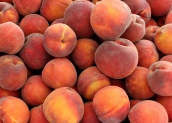 Σύσκεψη για το ροδάκινο στην αίθουσα Δημοτικού Συμβουλίου στο Αμύνταιο