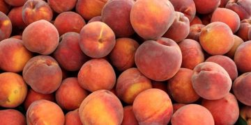 Σύσκεψη για το ροδάκινο στην αίθουσα Δημοτικού Συμβουλίου στο Αμύνταιο