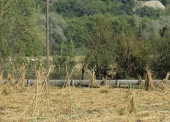 Τεράστιες ζημιές από την χαλαζόπτωση, να κηρυχτεί σε κατάσταση έκτακτης ανάγκης η περιοχή ζήτησε ο Δήμος Πρεσπών