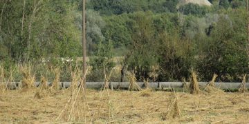 Τεράστιες ζημιές από την χαλαζόπτωση, να κηρυχτεί σε κατάσταση έκτακτης ανάγκης η περιοχή ζήτησε ο Δήμος Πρεσπών