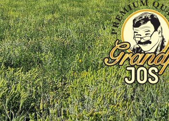 Εορδαία: Στην Αμερική ταξιδεύει ο σιδερίτης του Βερμίου