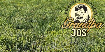 Εορδαία: Στην Αμερική ταξιδεύει ο σιδερίτης του Βερμίου