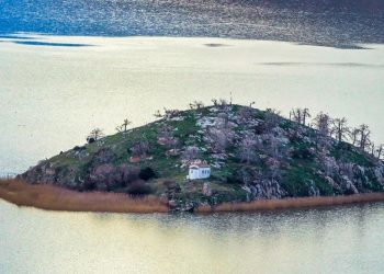 Βιδρονήσι: Το νησάκι στη λίμνη της Μικρής Πρέσπας, σπίτι για δεκάδες πουλιά