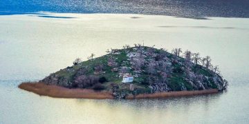 Βιδρονήσι: Το νησάκι στη λίμνη της Μικρής Πρέσπας, σπίτι για δεκάδες πουλιά