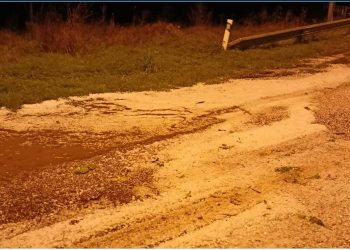 Το χαλάζι διέλυσε τις καλλιέργειες φασολιών στην Πρέσπα- Νέο πλήγμα για τη Δυτική Μακεδονία(VIDEO, Φωτό)